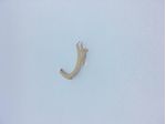 Produto2627.grande.d93004b39c012357d17a72285e1cfda8