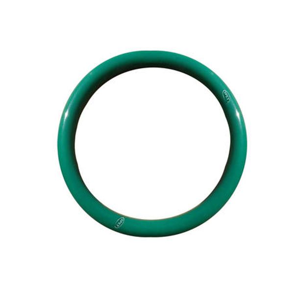 165-1610210195 O-Ring
