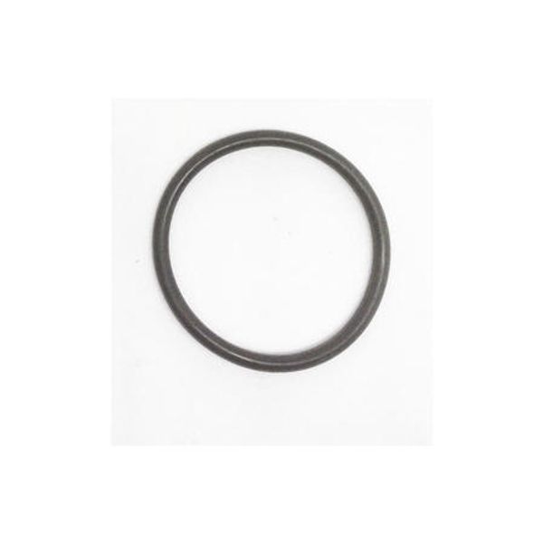 Anel do Capacitor Pos 17 / Ref 1617011310 / Peça Bomba SPA1100