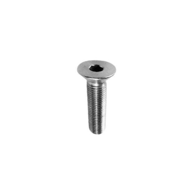 Parafuso Central da Placa Allen 20 x 5 mm Pos 18 / Ref GS3.1941818 / Peça Lixadeira GS3.1