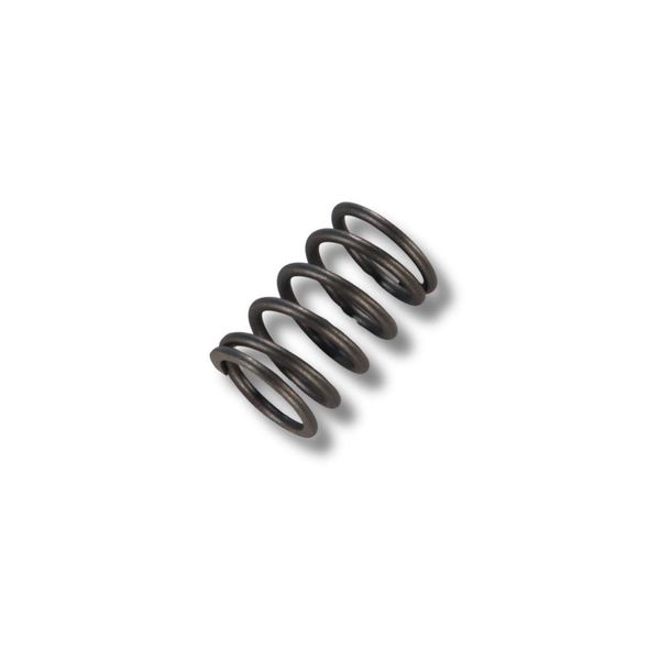 Mola de Ferro Fundido Grande Pos 14 / Ref 1015114980 / Peça Airless SP980