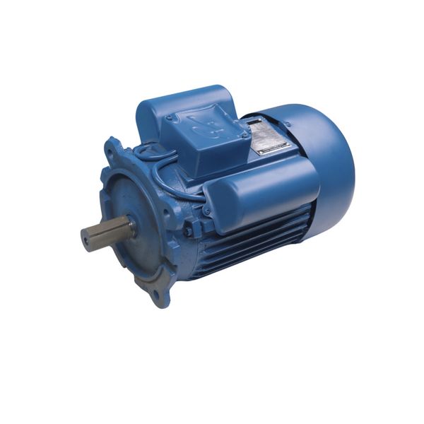 Motor Elétrico YL90L-4 3,0 CV Monofásico 220V IP44